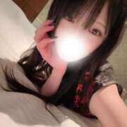 ヒメ日記 2026/02/19 07:14 投稿 いと Evolution 2nd