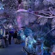 ヒメ日記 2026/02/28 06:13 投稿 いと Evolution 2nd