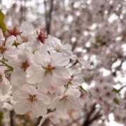 ヒメ日記 2026/04/07 14:32 投稿 いと Evolution 2nd