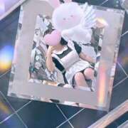 ヒメ日記 2025/01/28 13:47 投稿 真菜★（二輪車可） プリマドンナ