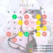 ヒメ日記 2025/03/23 14:17 投稿 真菜★（二輪車可） プリマドンナ