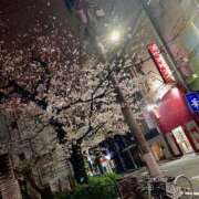 ヒメ日記 2025/03/30 21:07 投稿 真菜★（二輪車可） プリマドンナ