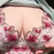 ヒメ日記 2025/06/14 09:17 投稿 真菜★（二輪車可） プリマドンナ