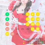 ヒメ日記 2025/11/12 14:19 投稿 真菜★（二輪車可） プリマドンナ