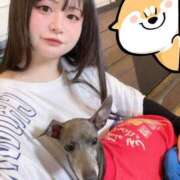 ヒメ日記 2025/11/17 14:07 投稿 真菜★（二輪車可） プリマドンナ