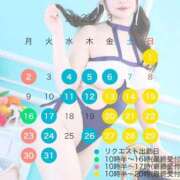 ヒメ日記 2026/02/24 17:05 投稿 真菜★（二輪車可） プリマドンナ