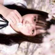 ヒメ日記 2026/03/29 17:37 投稿 真菜★（二輪車可） プリマドンナ