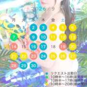 ヒメ日記 2026/08/19 16:47 投稿 真菜★（二輪車可） プリマドンナ