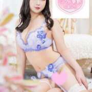 ヒメ日記 2025/02/07 07:47 投稿 山崎★（二輪車可） プリマドンナ