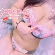 ヒメ日記 2025/02/24 09:00 投稿 山崎★（二輪車可） プリマドンナ