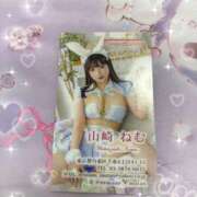 ヒメ日記 2025/03/31 10:17 投稿 山崎★（二輪車可） プリマドンナ