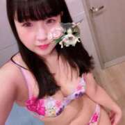 ヒメ日記 2025/04/06 08:30 投稿 山崎★（二輪車可） プリマドンナ