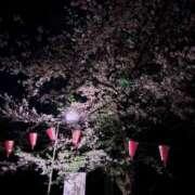 ヒメ日記 2025/04/08 00:07 投稿 山崎★（二輪車可） プリマドンナ