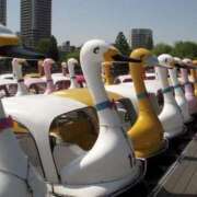 ヒメ日記 2025/04/12 15:57 投稿 山崎★（二輪車可） プリマドンナ