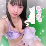 ヒメ日記 2025/04/27 14:27 投稿 山崎★（二輪車可） プリマドンナ