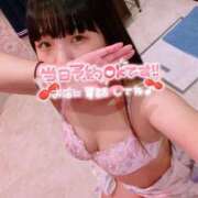 ヒメ日記 2025/05/15 11:37 投稿 山崎★（二輪車可） プリマドンナ