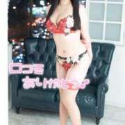 ヒメ日記 2025/05/27 10:27 投稿 山崎★（二輪車可） プリマドンナ