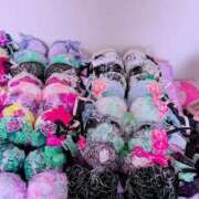 ヒメ日記 2025/06/15 08:48 投稿 山崎★（二輪車可） プリマドンナ