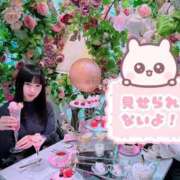 ヒメ日記 2025/09/18 18:37 投稿 山崎★（二輪車可） プリマドンナ