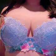 ヒメ日記 2025/11/06 09:17 投稿 山崎★（二輪車可） プリマドンナ