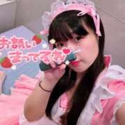 ヒメ日記 2025/11/10 09:13 投稿 山崎★（二輪車可） プリマドンナ