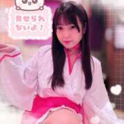 ヒメ日記 2025/12/27 11:07 投稿 山崎★（二輪車可） プリマドンナ