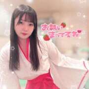 ヒメ日記 2025/12/28 09:17 投稿 山崎★（二輪車可） プリマドンナ