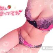 ヒメ日記 2026/01/15 19:56 投稿 山崎★（二輪車可） プリマドンナ