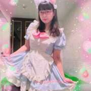 ヒメ日記 2026/01/31 11:17 投稿 山崎★（二輪車可） プリマドンナ