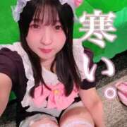 ヒメ日記 2026/02/19 12:37 投稿 山崎★（二輪車可） プリマドンナ