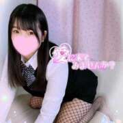 ヒメ日記 2026/02/20 15:07 投稿 山崎★（二輪車可） プリマドンナ