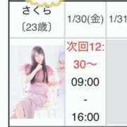 さくら わぁお ANNEX（アネックス）