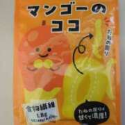 ヒメ日記 2025/02/20 12:39 投稿 るか 西船巨乳ぽっちゃり　乳神さま