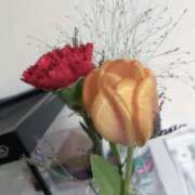 ヒメ日記 2025/03/08 19:39 投稿 るか 西船巨乳ぽっちゃり　乳神さま