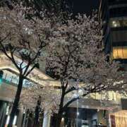 ヒメ日記 2025/04/11 20:09 投稿 るか 西船巨乳ぽっちゃり　乳神さま