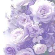 ヒメ日記 2025/04/25 08:49 投稿 るか 西船巨乳ぽっちゃり　乳神さま