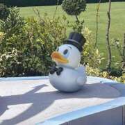 ヒメ日記 2025/04/26 10:29 投稿 るか 西船巨乳ぽっちゃり　乳神さま