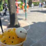 ヒメ日記 2025/08/25 14:09 投稿 るか 西船巨乳ぽっちゃり　乳神さま