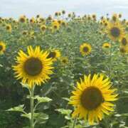 ヒメ日記 2025/08/25 16:09 投稿 るか 西船巨乳ぽっちゃり　乳神さま