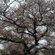 ヒメ日記 2025/06/29 16:39 投稿 きこ チェックイン素人専門大人女子