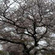 ヒメ日記 2025/07/02 12:21 投稿 きこ チェックイン素人専門大人女子