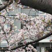 ヒメ日記 2025/07/14 07:09 投稿 きこ チェックイン素人専門大人女子