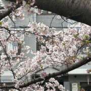 ヒメ日記 2025/08/21 18:09 投稿 きこ チェックイン素人専門大人女子