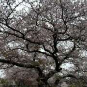 きこ 今日出勤するよん チェックイン素人専門大人女子