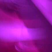 ヒメ日記 2025/04/07 19:02 投稿 りょう X-PARTY