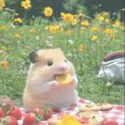 ヒメ日記 2026/01/04 23:41 投稿 りょう X-PARTY