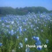 ヒメ日記 2025/11/09 13:00 投稿 はるね(Harune) 出張メンズエステ RELAX【DIVAグループ】