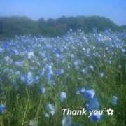 ヒメ日記 2025/11/25 19:54 投稿 はるね(Harune) 出張メンズエステ RELAX【DIVAグループ】