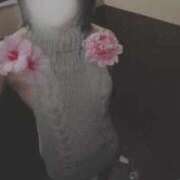 ヒメ日記 2026/03/15 12:06 投稿 れんか 小岩ときめき女学園