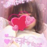 ヒメ日記 2025/04/21 16:39 投稿 カンナ OLの品格 クラブアッシュ